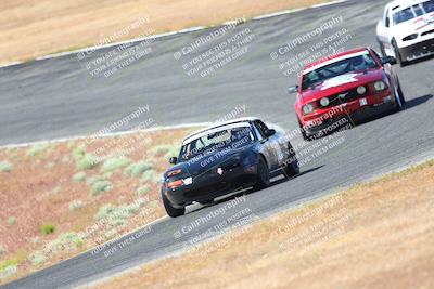 media/May-06-2023-Lucky Dog Racing (Sat) [[8f2256f436]]/Turn 2 10a/